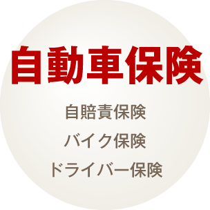 自動車保険（自賠責保険・バイク保険・ドライバー保険他）